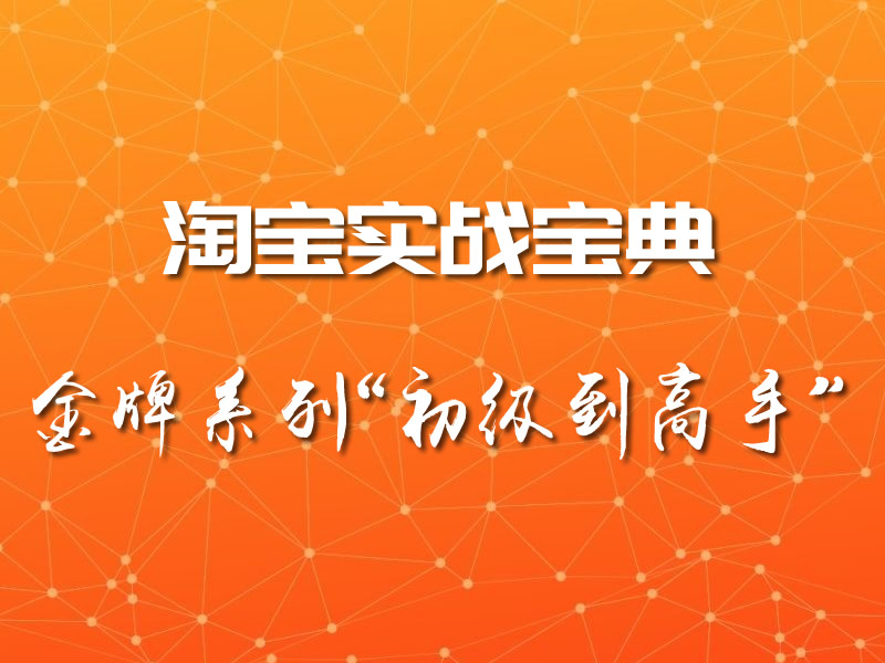 淘宝实战宝典视频教程：金牌系列“初级到高手”