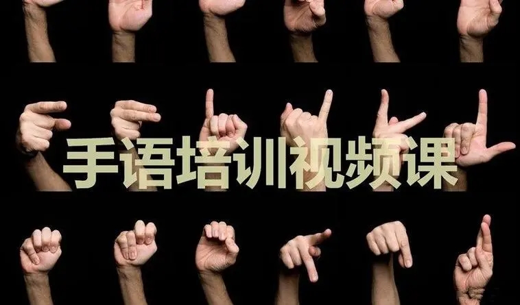中国手语培训教程【视频】【课程】【3.6GB】