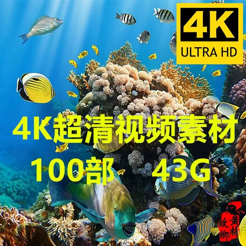 4K高清海洋海底生物世界视频素材MKV格式