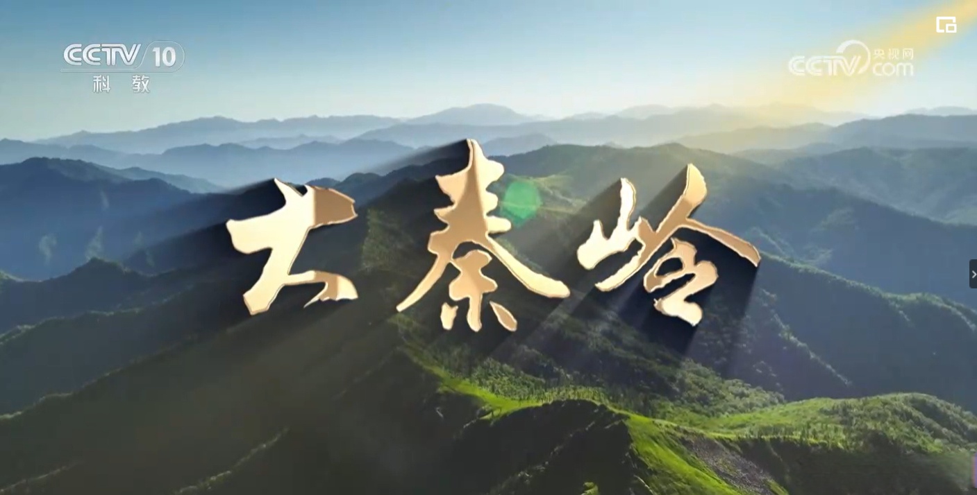 《大秦岭》纪录片全8集完整版免费网盘下载