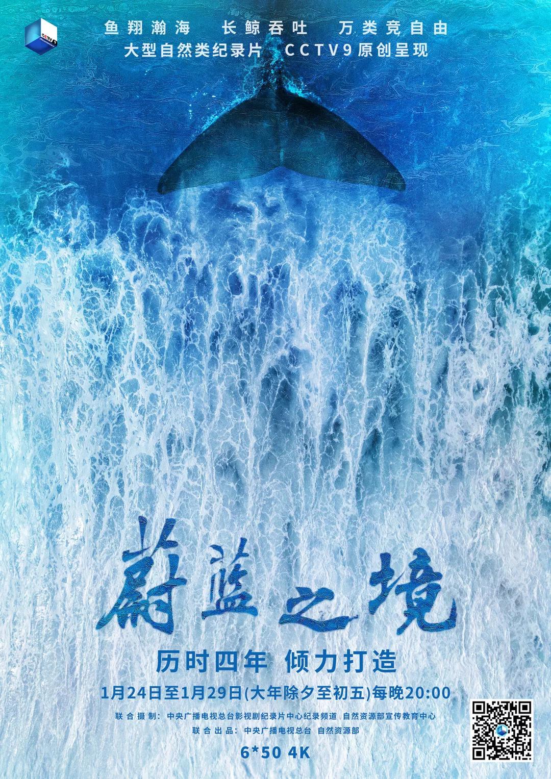 六集纪录片《蔚蓝之境》完整版4K高清视频网盘免费下载