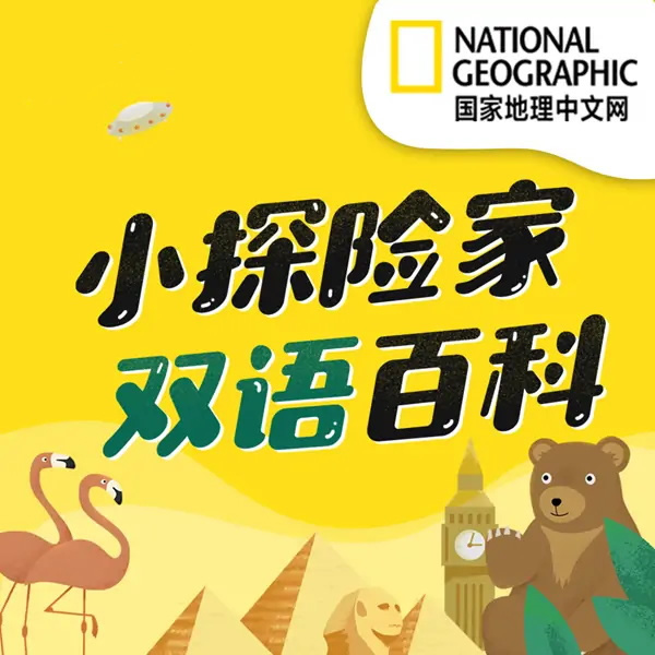 儿童科普启蒙《小探险家》双语百科音视频下载